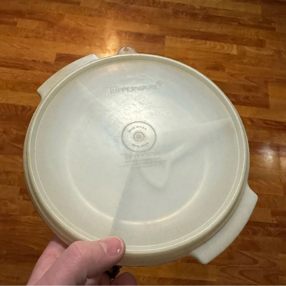 Vintage Tupperware Suzette 3 Section Divided Relish Condiment Tray #608 Complete